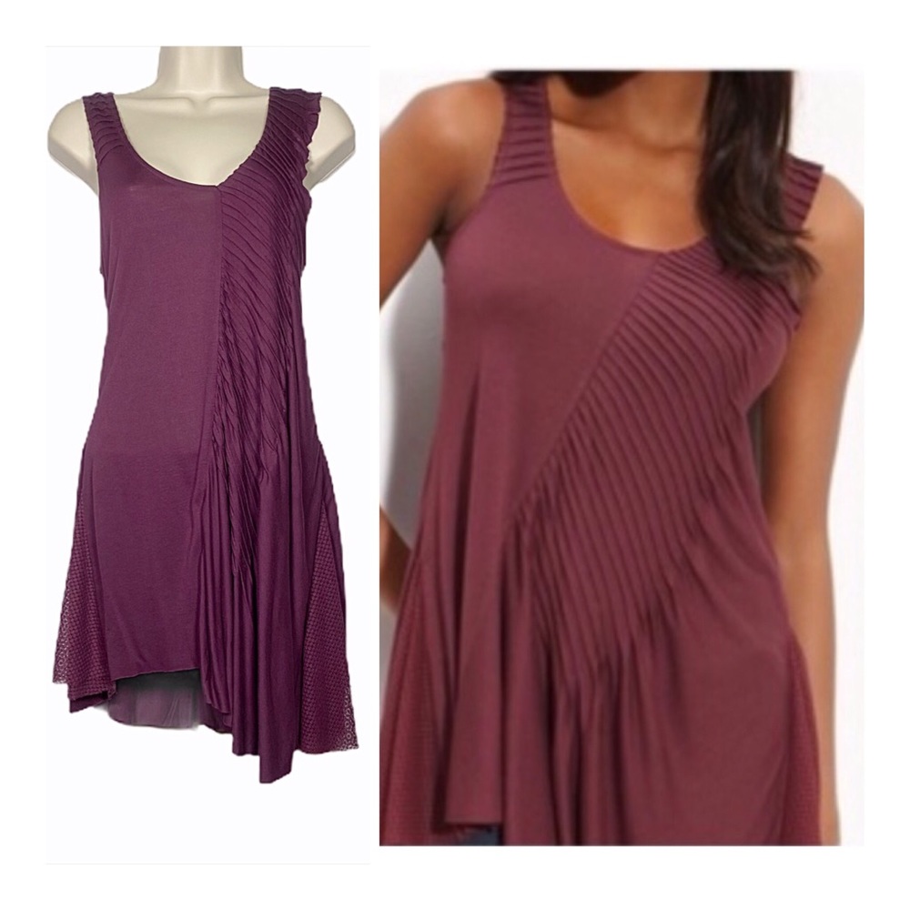 Free People Pleating & Mesh Maroon Dress/Tunic